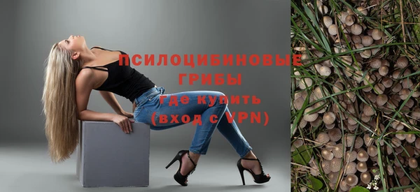 прущая мука Алзамай