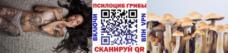 купить наркотик  дарк нет наркотические препараты  Псилоцибиновые грибы Cubensis  Лахденпохья 